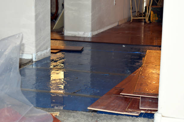 Professional Basement Flood Cleanup technician working in Old Fort, TN